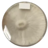 Lion's Mane - Image 3